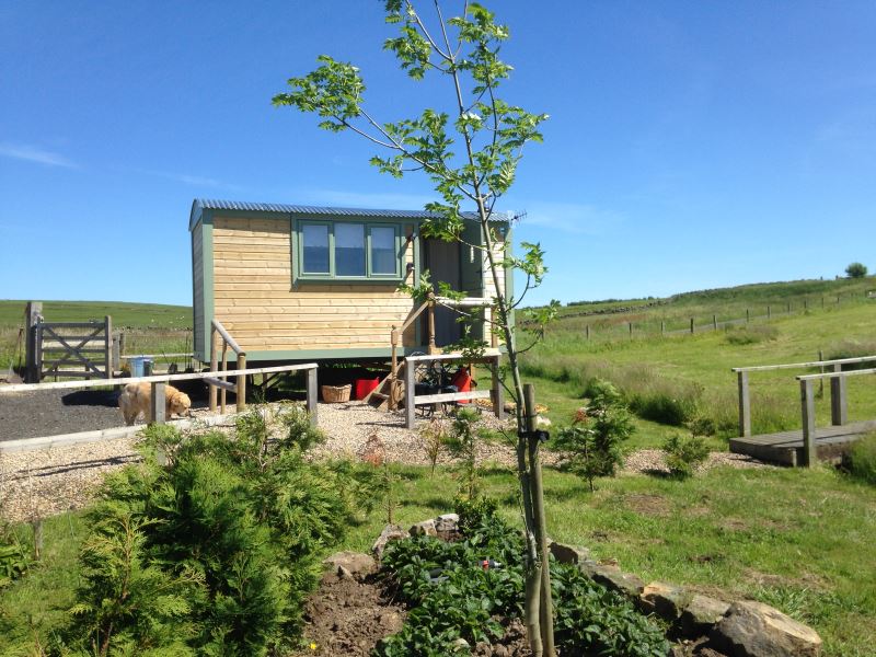 The Buteland Stop Glamping in Bellingham, Northumberland